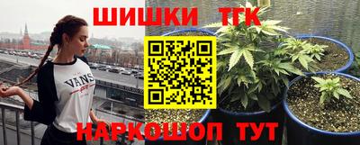 Альфа ПВП Краснознаменск